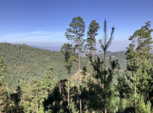 San Felipe Cieneguilla