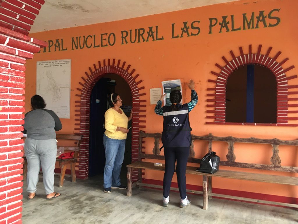 Difusión del proyecto de captura de carbono en Las Palmas