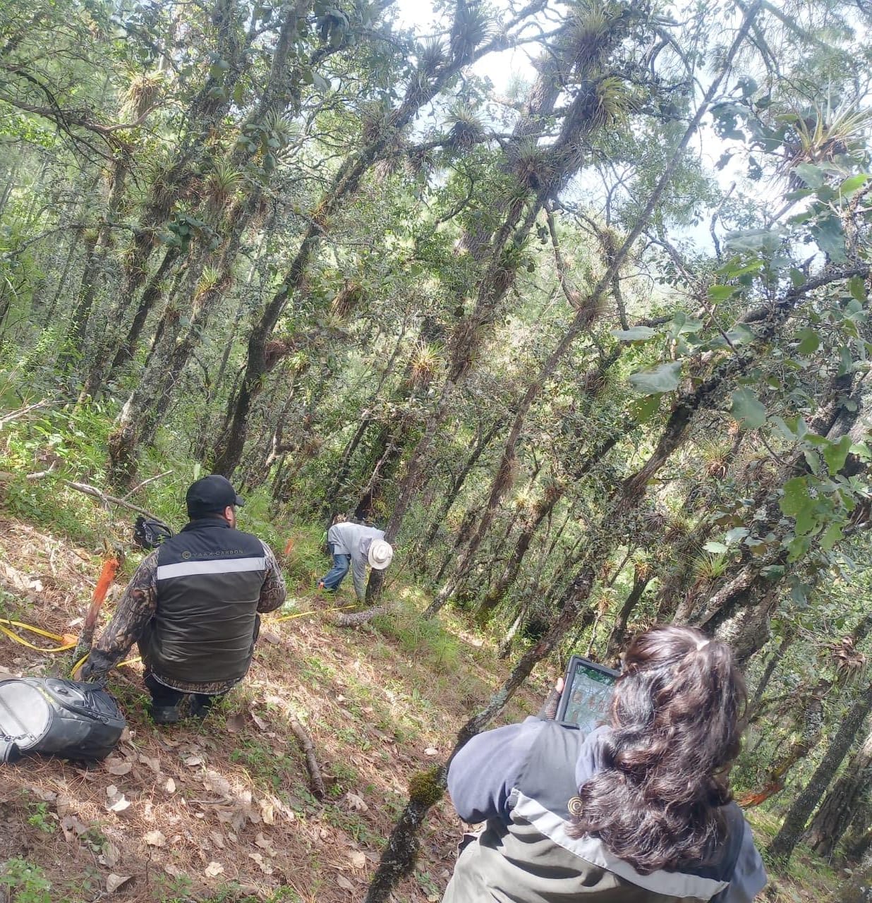 Registro de inventario en campo