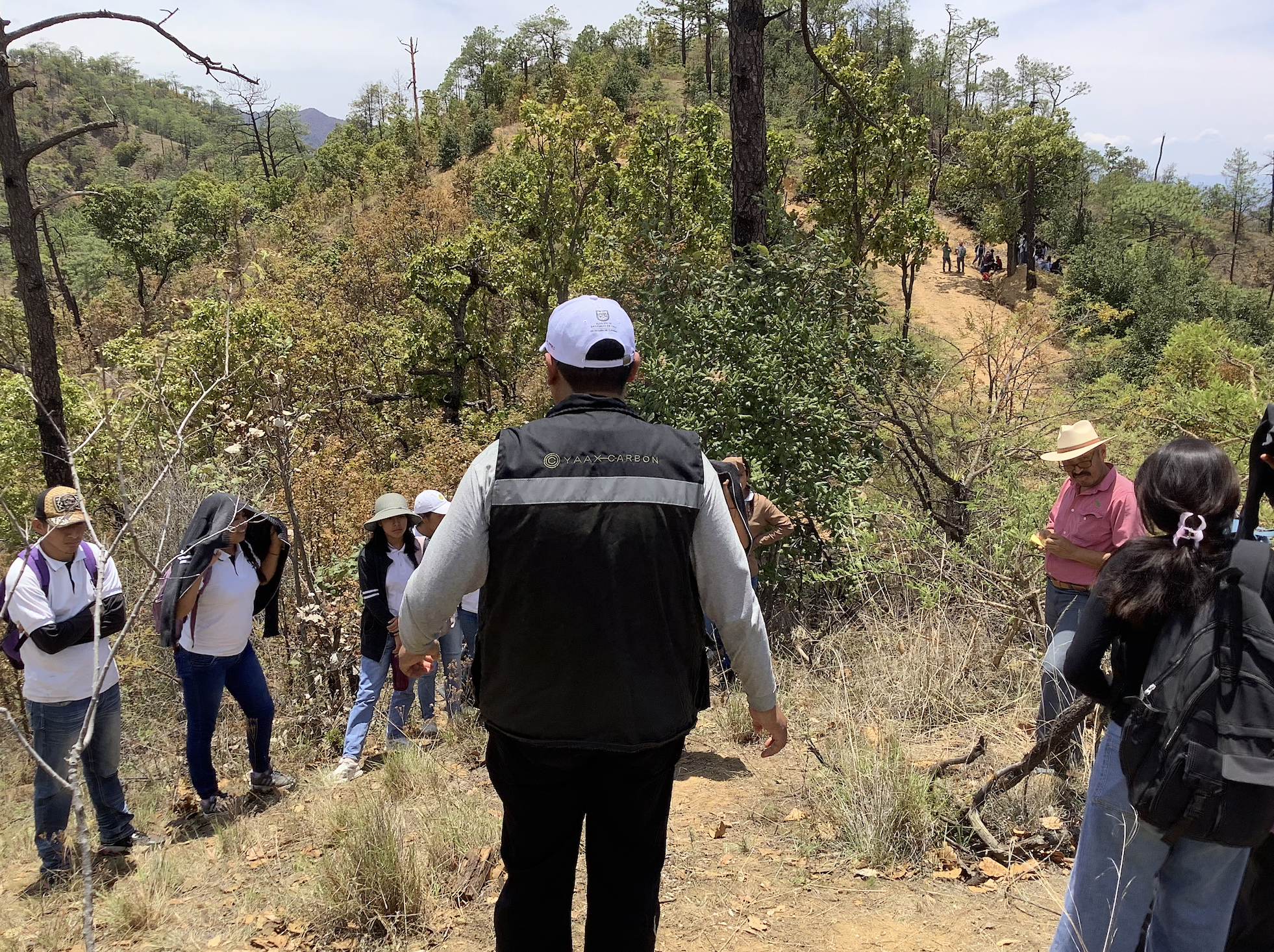 Juventudes de San Pablo Coatlán aprenden a medir y conocer su bosque