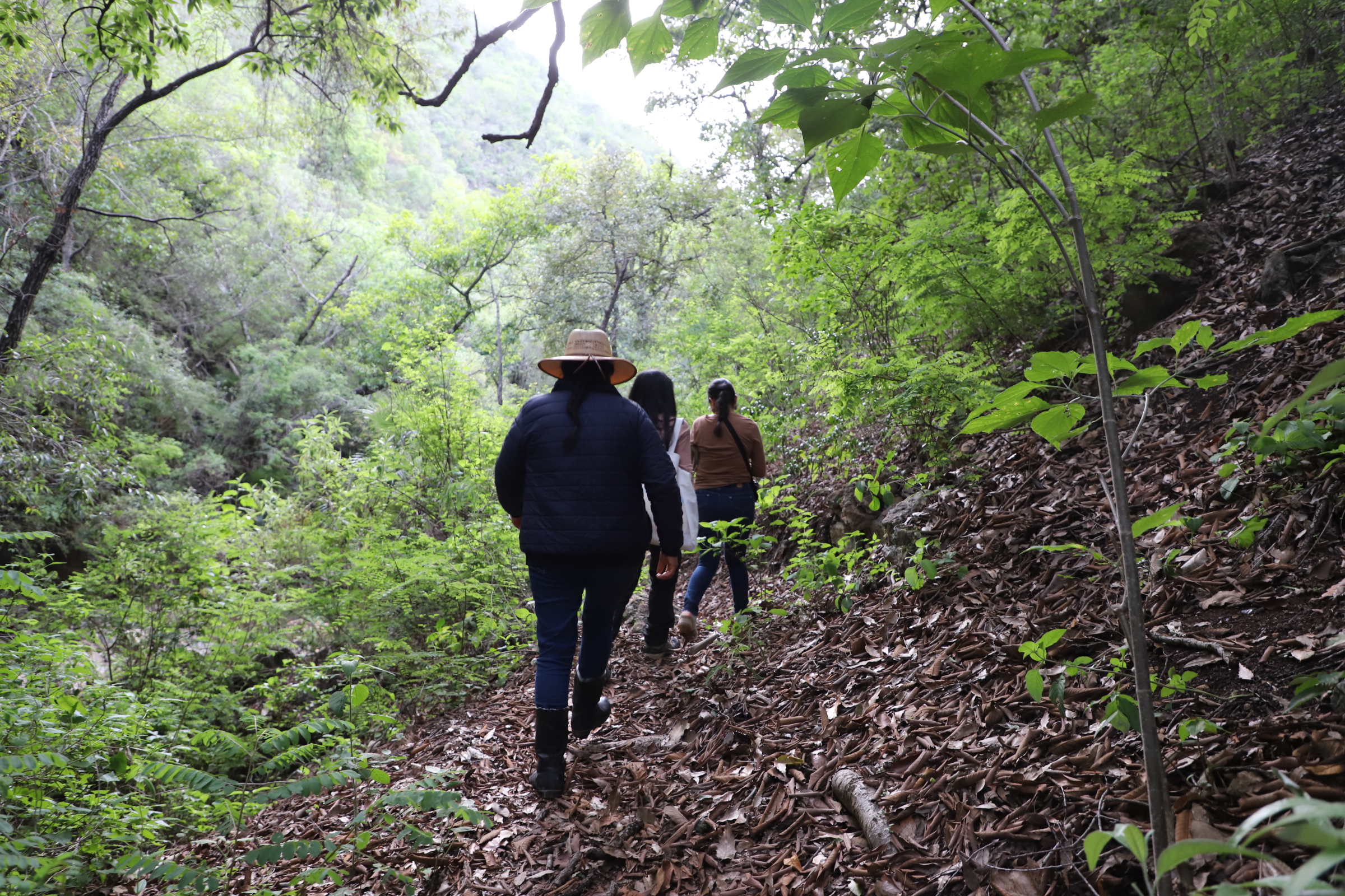 Jornada de reconexión con el monte