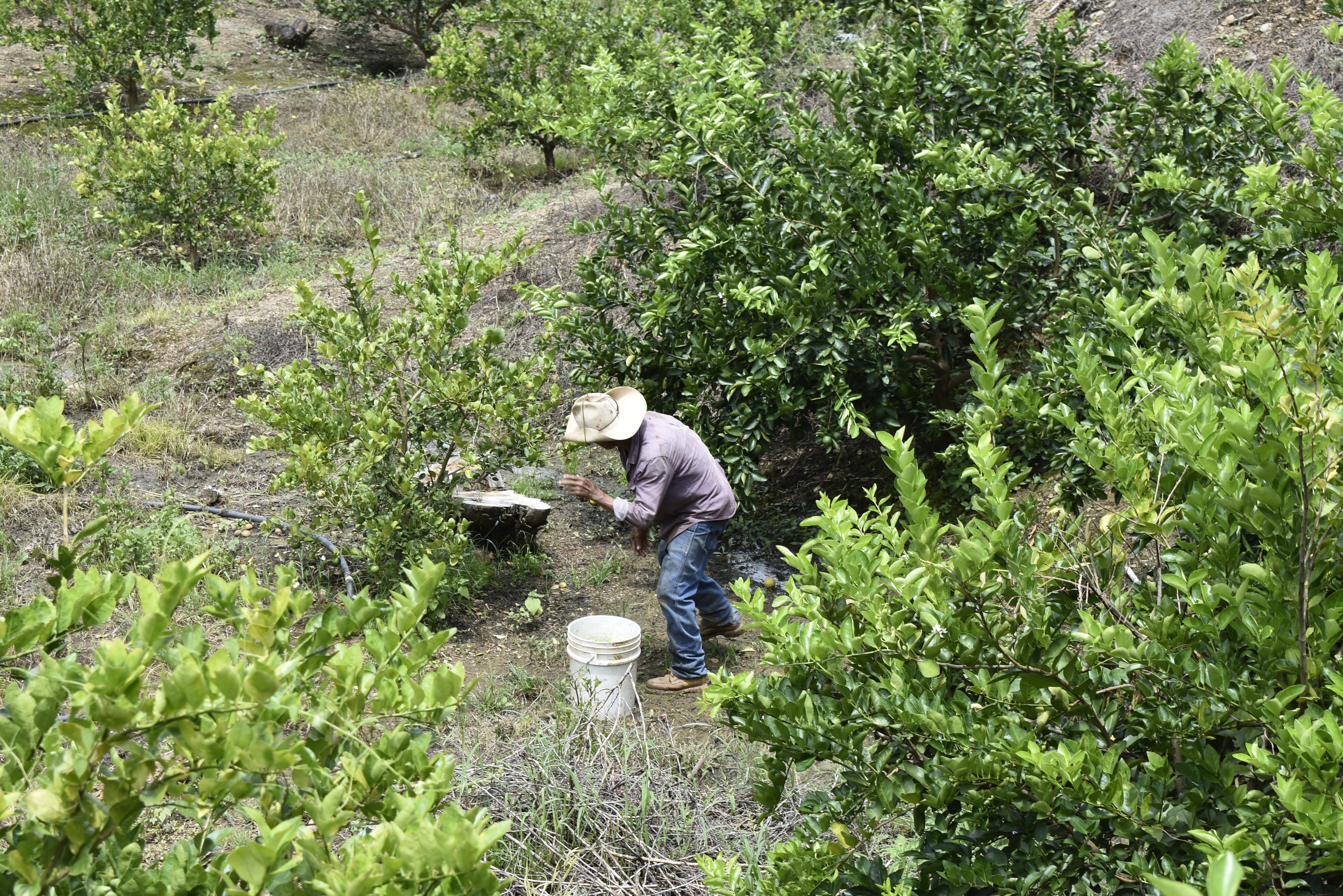 San Jerónimo Coatlán