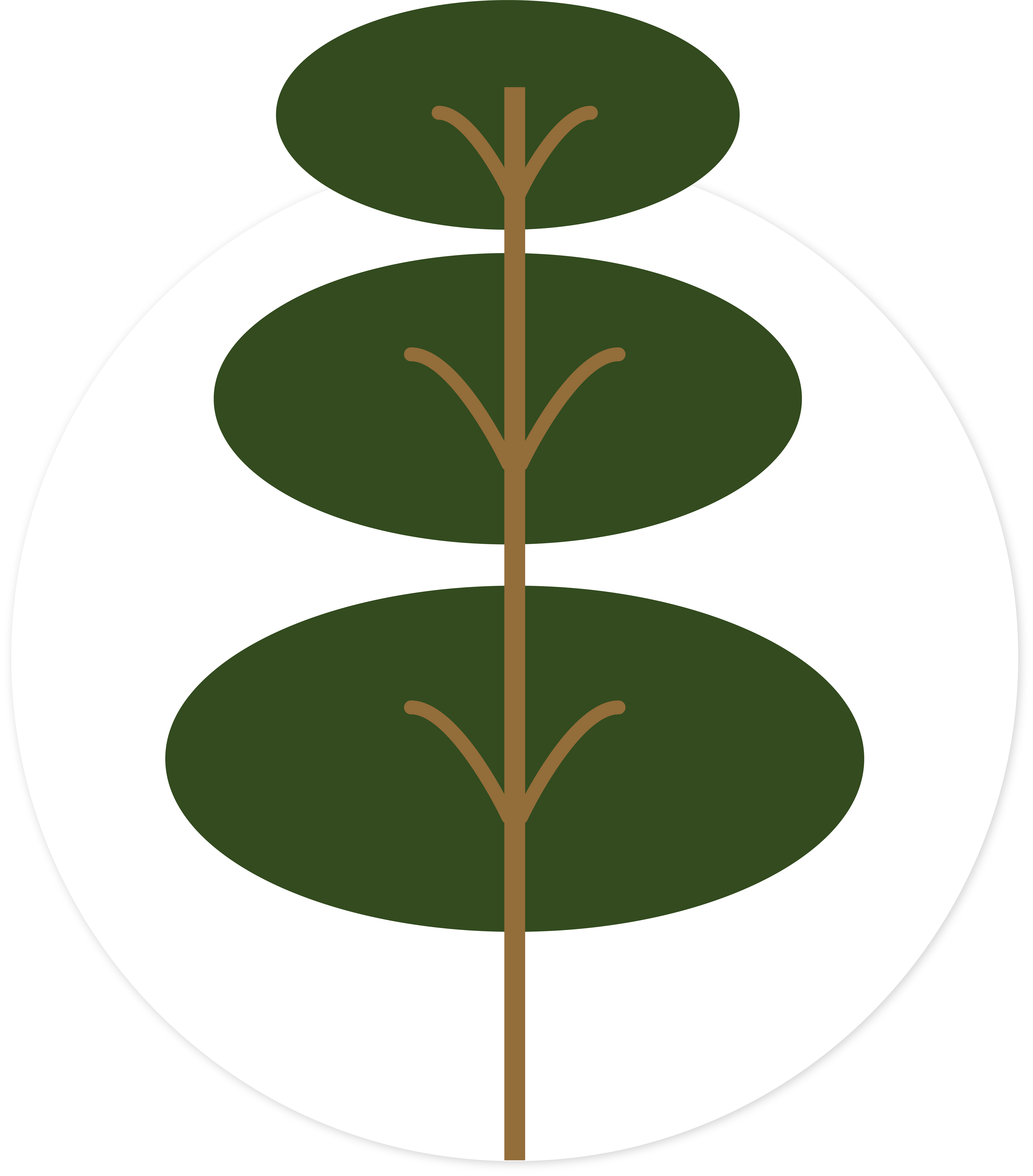 Inventario y Evaluación Forestal